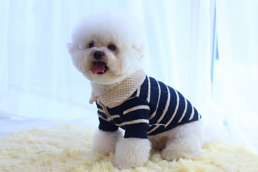 [쥬비코]니트 와플 티셔츠