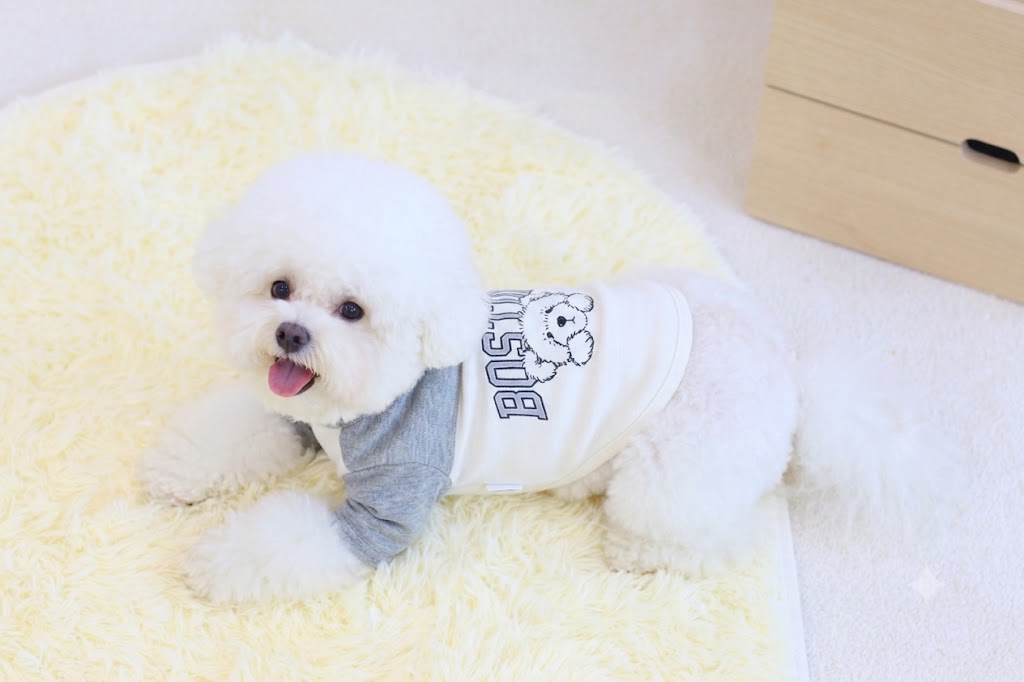[쥬비코]보스턴 곰돌이 티셔츠